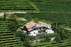 Hof am Rain Kcortaccia Sulla Strada Del Vino
